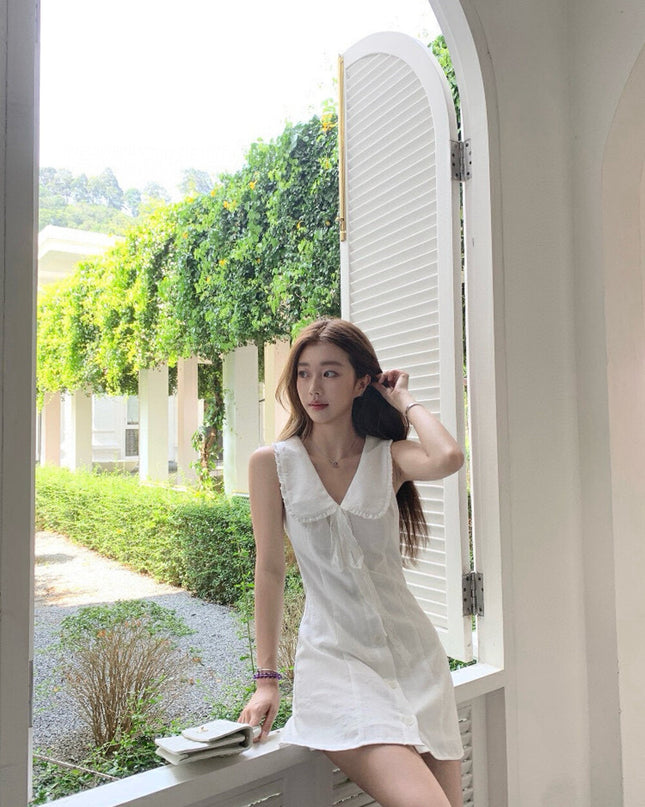 WGWE French Lace Collar Fitted Sleeveless Dress