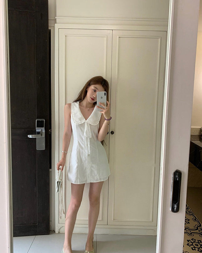 WGWE French Lace Collar Fitted Sleeveless Dress