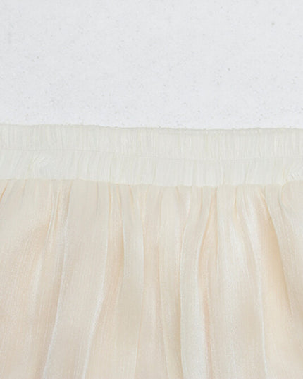 High-Waist Relaxed Wide-Leg Sheer Chiffon Pants